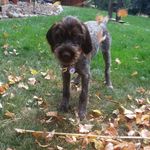 Profile Picture of Heidi May Ziegler (@heidimayziegler) on Instagram