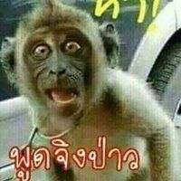 Profile Picture of janehib (@janehib) on Tiktok