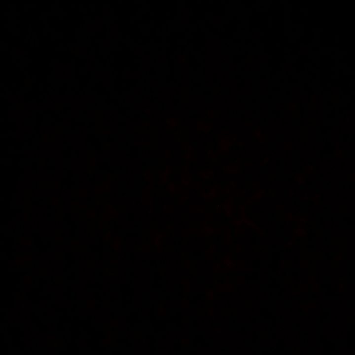 Profile Picture of storys— clips (@paul_spit) on Tiktok