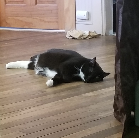 Mathew Wulff - Poshmark Profile Picture of Mathew Wulff (@wulff307) on Poshmark