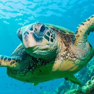 Profile Picture of Evan Hand (@user2062455513208) on Tiktok