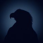 Profile Picture of kevin walsh (@kevin.m.walsh) on Instagram