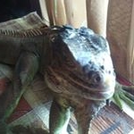 Profile Picture of rogelio (@rogelioresendez9) on Instagram