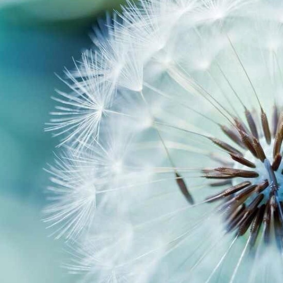 Profile Picture of Mairead Brennan (@mabrenn) on Poshmark