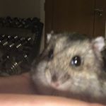 Profile Picture of Joshua Keeble (@joshuak148) on Instagram