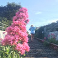 Profile Picture of Olivia Wall (@olivia-wall-68) on Quora