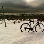 Profile Picture of Chris Cochrane (@pedalingscience) on Instagram