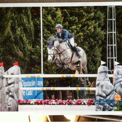 Profile Picture of Brian Cassidy (@casssporthorses) on Twitter