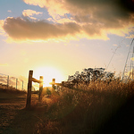 Profile Picture of Simran Singh (@sidhu1820) on Flickr
