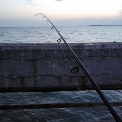 Profile Picture of Anthony Bearden (@abearden100) on Twitter