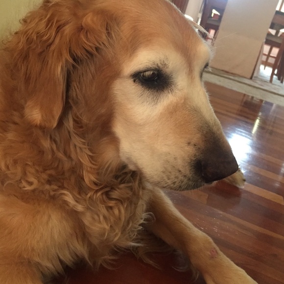 Faith Maruna - Poshmark Profile Picture of Faith Maruna (@faithmaruna) on Poshmark