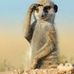 Profile Picture of Jeff Hassing (@jeff.hassing.9) on Facebook