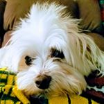 Profile Picture of Leda Bailey (@killjoy20_20) on Instagram