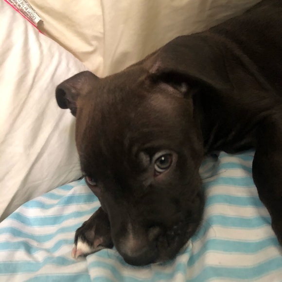 Profile Picture of Greg Henry (@bob240) on Poshmark