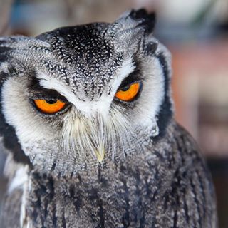 Profile Picture of Renate Roberts (@renate.roberts) on Facebook