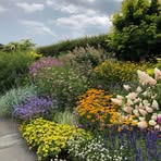 Profile Picture of Nancy Piccione (@nancy.piccione.9) on Facebook