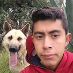 Guillermo Isidro - Instagram Profile Picture of Guillermo Isidro (@guillermo_isidro) on Instagram