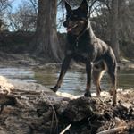 Profile Picture of Julio Serratos (@serratos944) on Instagram