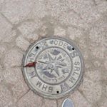 Profile Picture of Adventures_of_Francis (@francis_the_dino) on Instagram