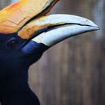 Profile Picture of alina ayers (@alinaayers9) on Instagram