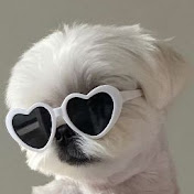 Profile Picture of Sam Silvas (@samsilvas2323) on Youtube