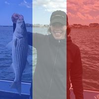 Profile Picture of Kate Ray Dolan (@kate-ray-dolan) on Quora