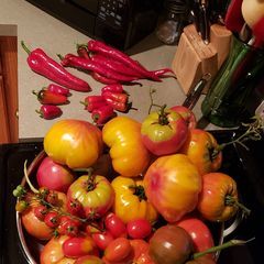 Profile Picture of Kenneth R Baker289 (@kennethrbaker) on Tiktok