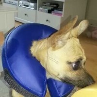 Profile Picture of Thomas Wiberg (@thomas-wiberg-1) on Quora