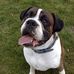 Profile Picture of Graham Harper (@graham.harper.397) on Facebook