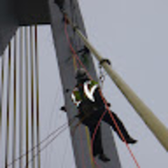 Ann Griessmann - Poshmark Profile Picture of Ann Griessmann (@agriessmann) on Poshmark