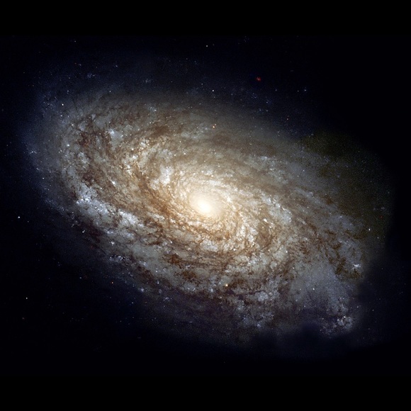 Profile Picture of Zachary Stephens (@xzachtly) on Poshmark