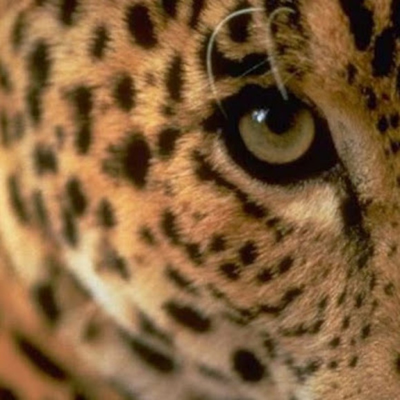 Profile Picture of Skylar Carter (@skylarcarter162) on Poshmark