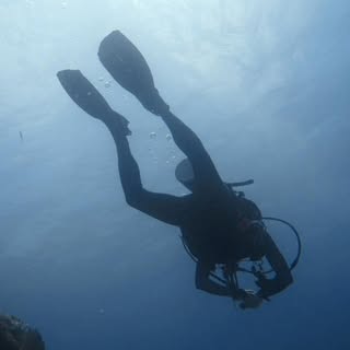 Profile Picture of Robert Fee (@robert_fee) on Instagram