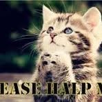 Profile Picture of Akiko Iwasaki (@Akiko-Iwasaki) on Facebook