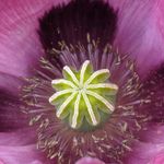 Profile Picture of Scott Rothney (@scottrothney) on Instagram