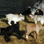 Profile Picture of Maria José Guardiola (@pepag55) on Instagram