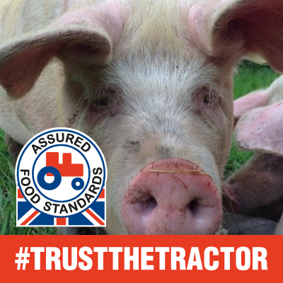 Profile Picture of Stephen Berryman (@K155smb) on Twitter