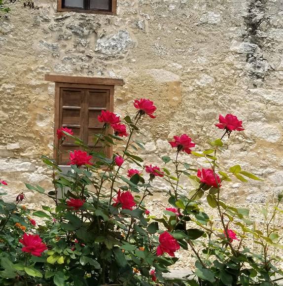 Profile Picture of Michele Stoor (@misty3043) on Poshmark