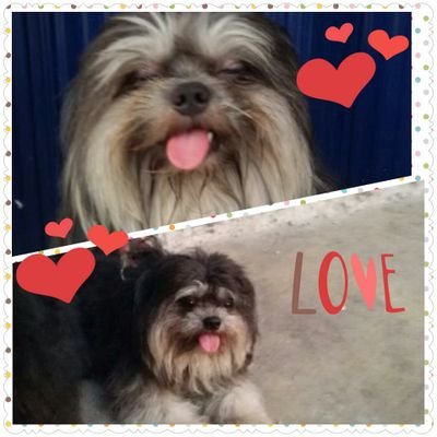Profile Picture of SherLy_Junita (@SherLy29721) on Twitter