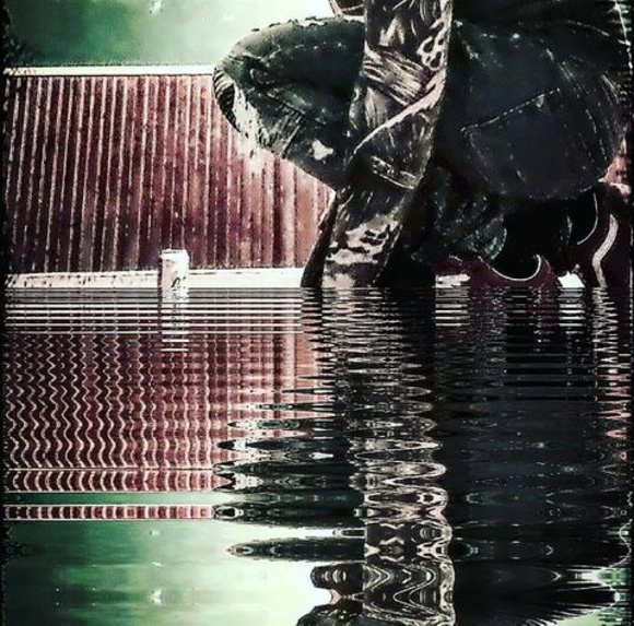 Profile Picture of Tylor Chouanard (@tylorchouanard) on Poshmark