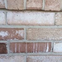 Profile Picture of Ramon Handy (@antoine.handy.39) on Myspace