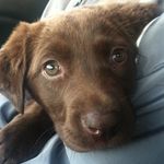 Profile Picture of John Killcommons (@killcommons) on Instagram