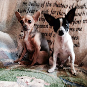 Profile Picture of James Hirsch (@jameshirsch4587) on Youtube