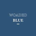 Blue Is the Warmest Color - Instagram Profile Picture of Blue Is the Warmest Color (@woadedblue) on Instagram