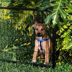 Profile Picture of Andrew Kerek (@andrew_wker) on Instagram