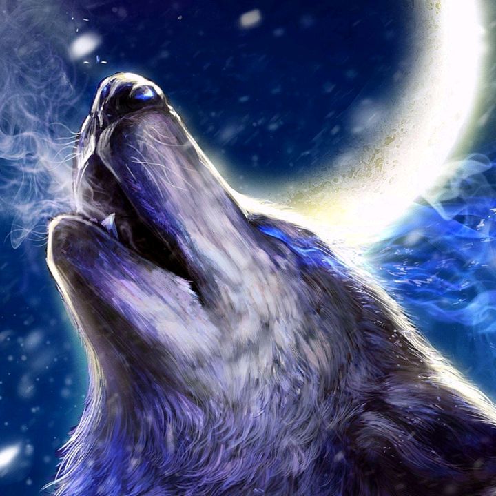 Profile Picture of joshua ourse (@kingdavid.123) on Tiktok