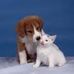 Profile Picture of Steve McQuade (@steve.mcquade.129) on Facebook