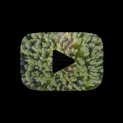 Profile Picture of Mark Scanlan (@justmarksc) on Youtube