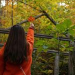 Profile Picture of Cathy Zeng (@cathytsangg) on Instagram