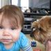 Profile Picture of Janet Wolfinger (@wolfymom) on Pinterest